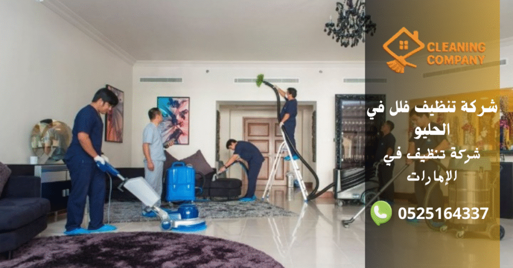 شركة تنظيف فلل في الحليو (2)